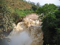 Rubondo Falls - Grenze zu Ruanda
